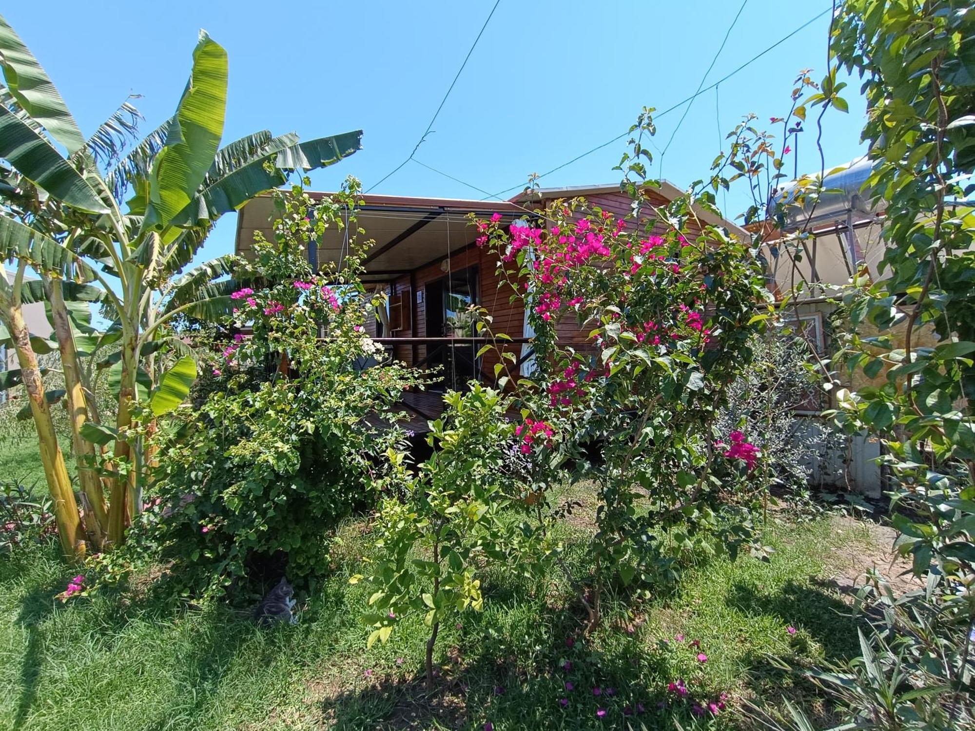 Arlin Bungalows Kemer Exterior foto